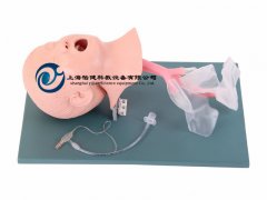 高級(jí)兒童氣管插管模型